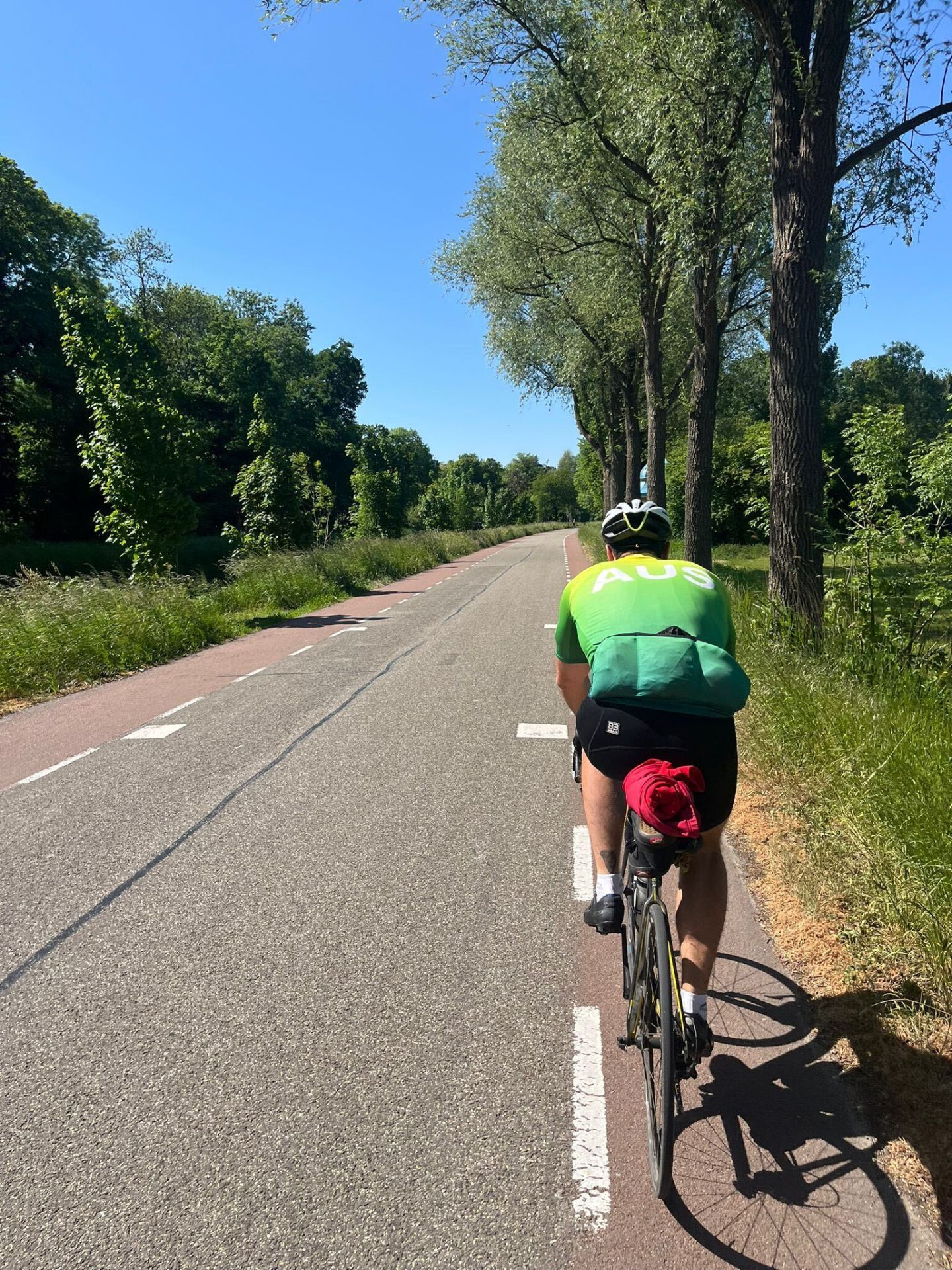 Cyclist in green AUS jersey riding a tree-lined Dutch cycle path