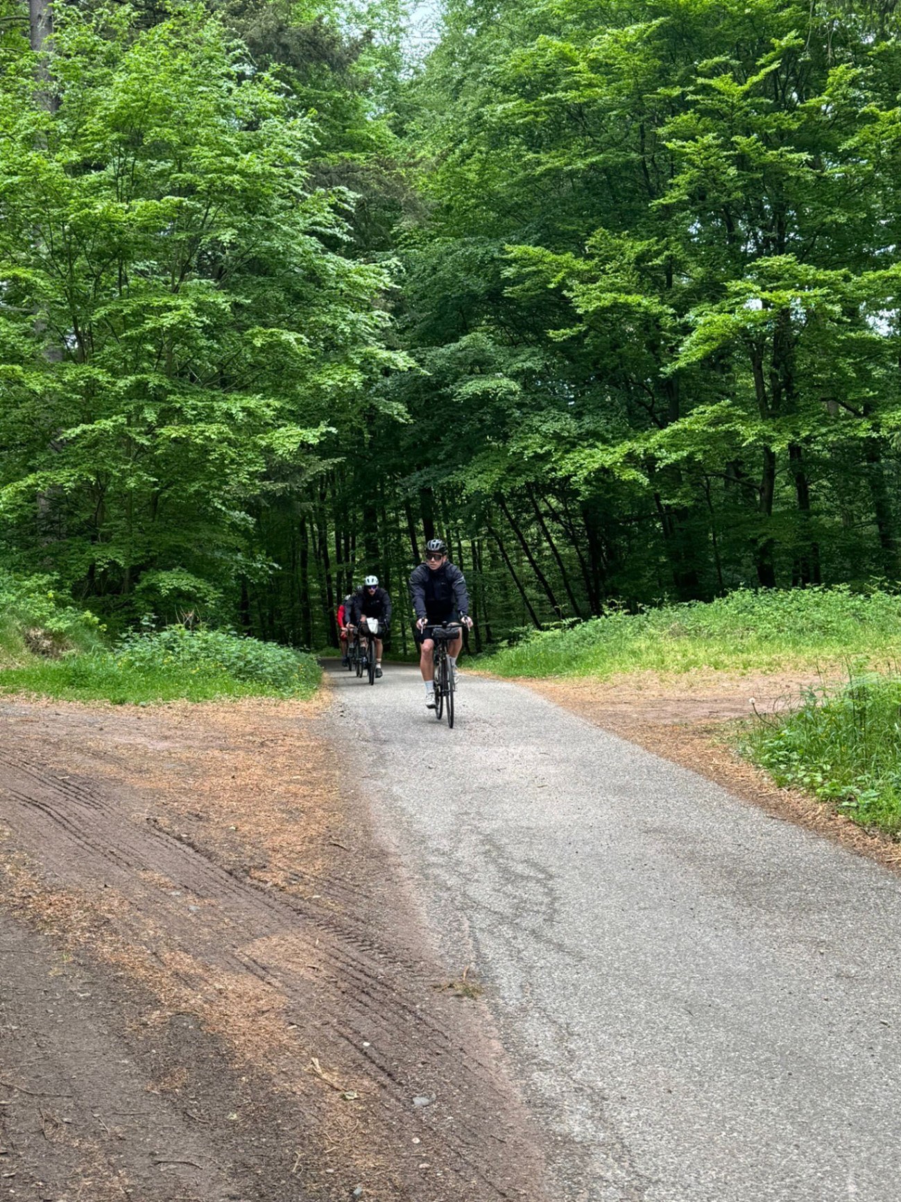 Riders emerging from a beech forest gravel track in the Vosges foothills