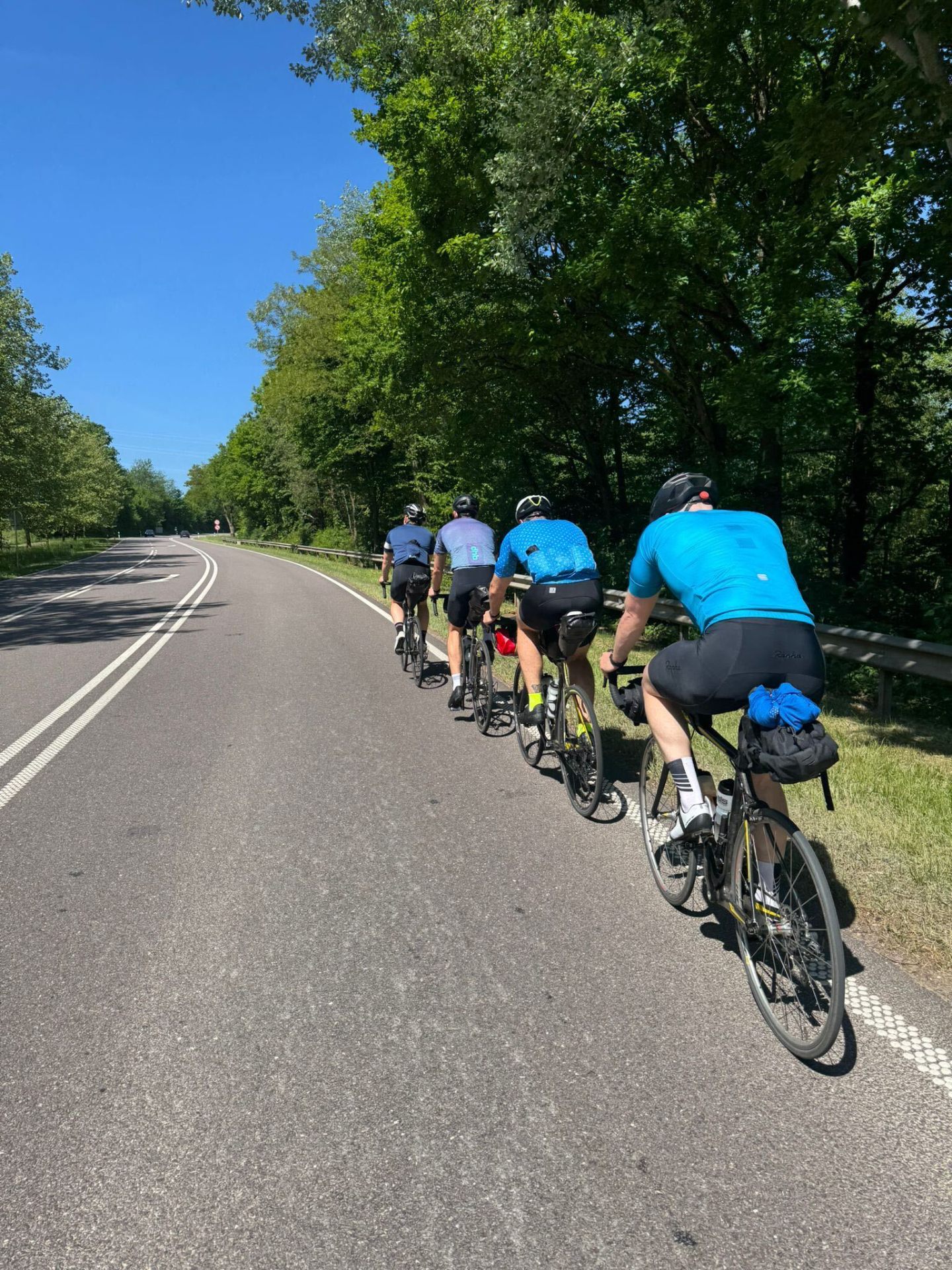 Four cyclists in single file along a tree-lined road descending out of the Ardennes
