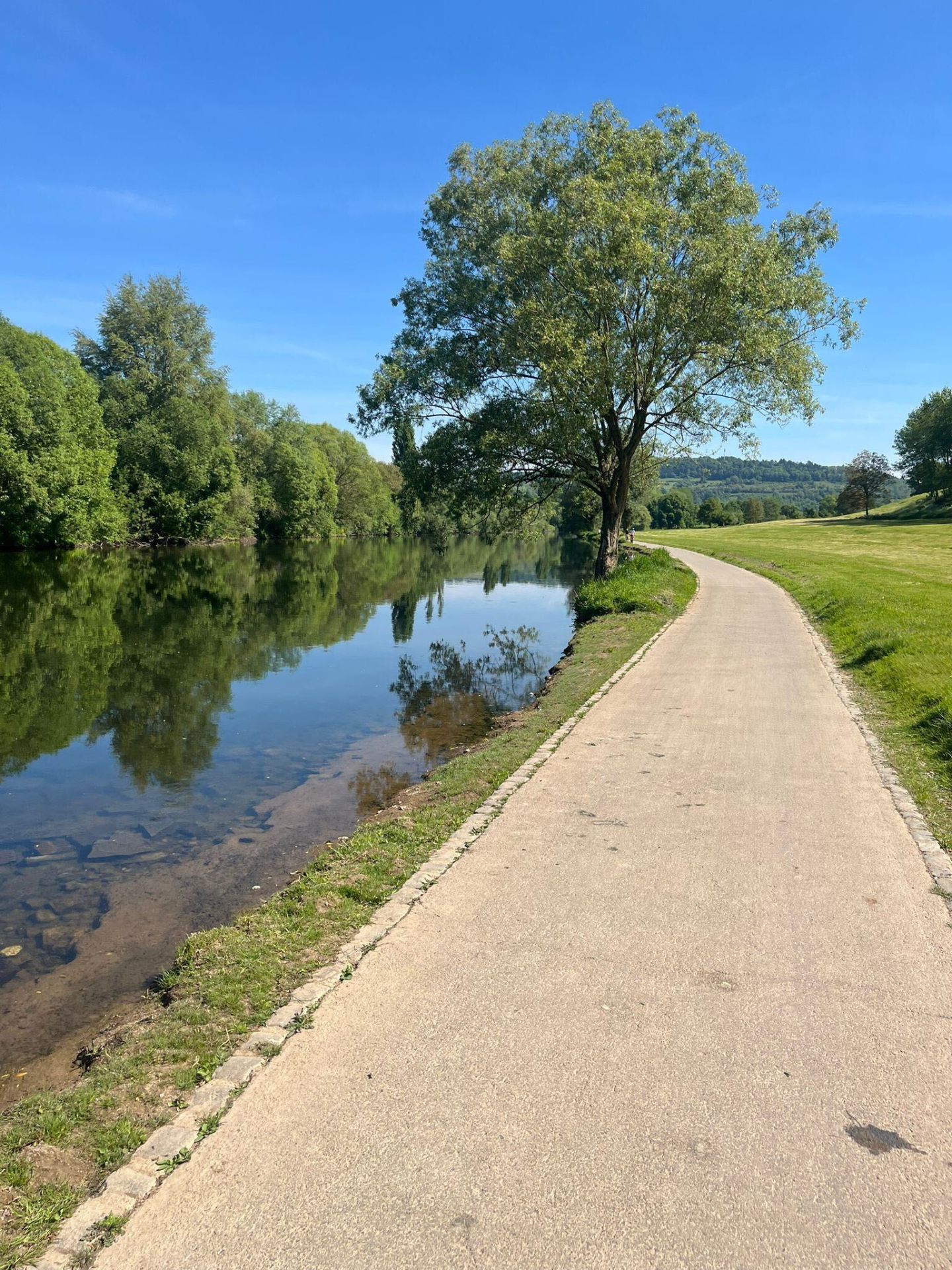 Riverside cycle path under a willow tree with calm reflections in the water