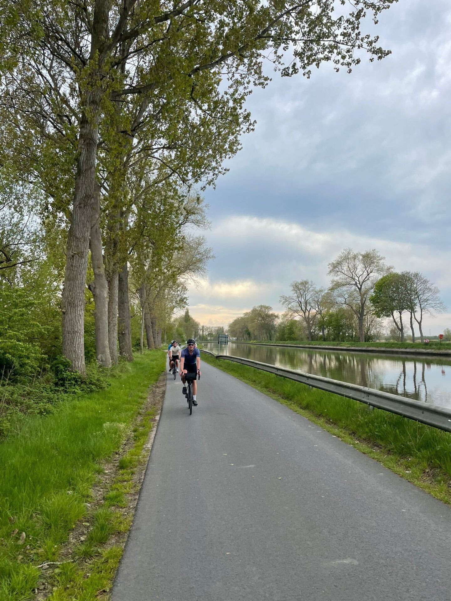 Cyclists on a tree-lined canal path at golden hour