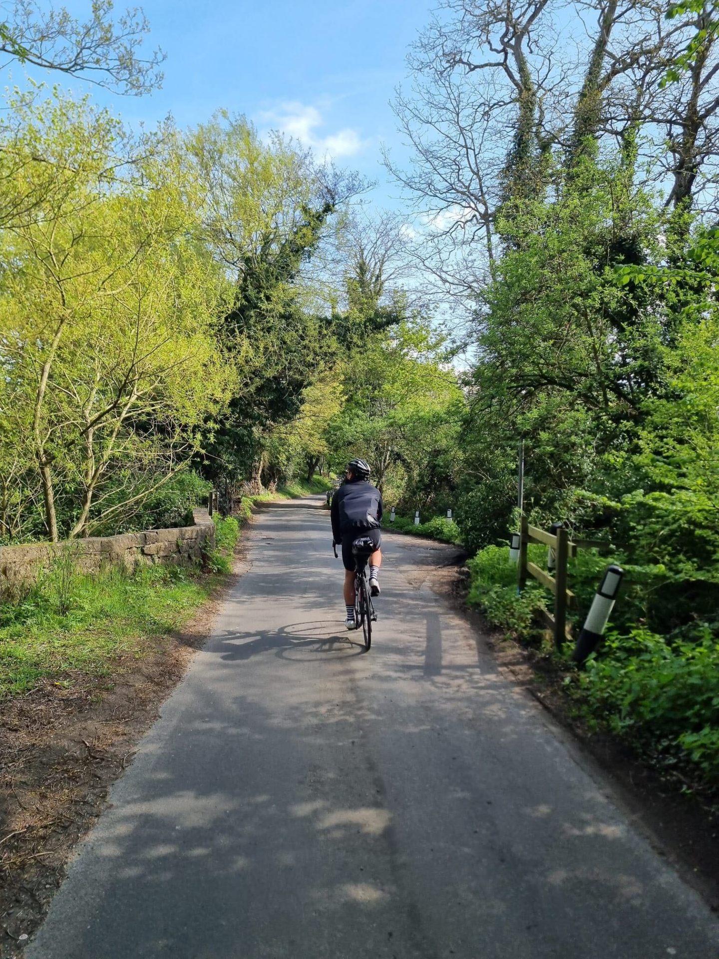 Cyclist riding under a leafy tree-lined lane
