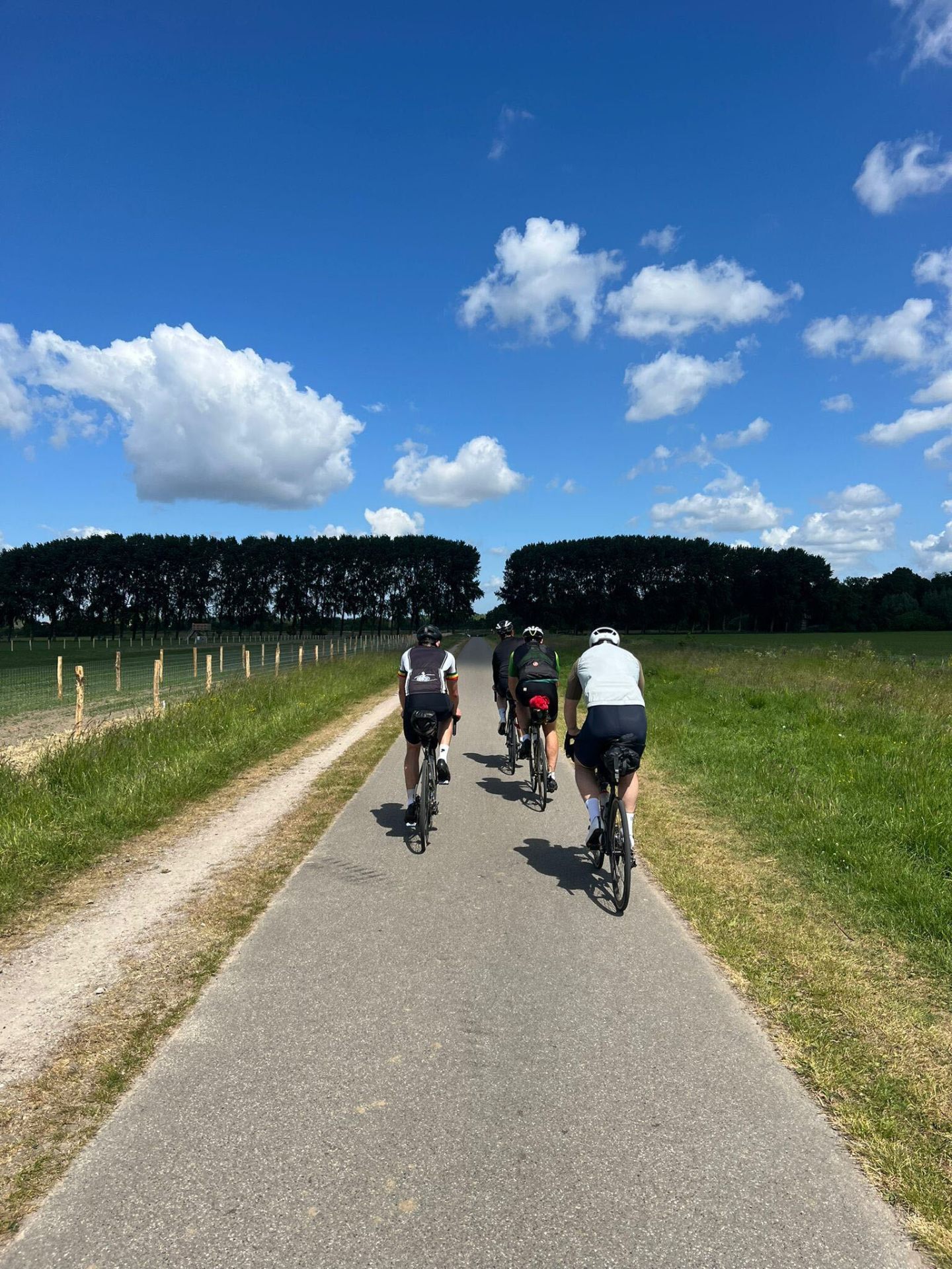 Four cyclists riding a country lane past poplar trees under a blue sky