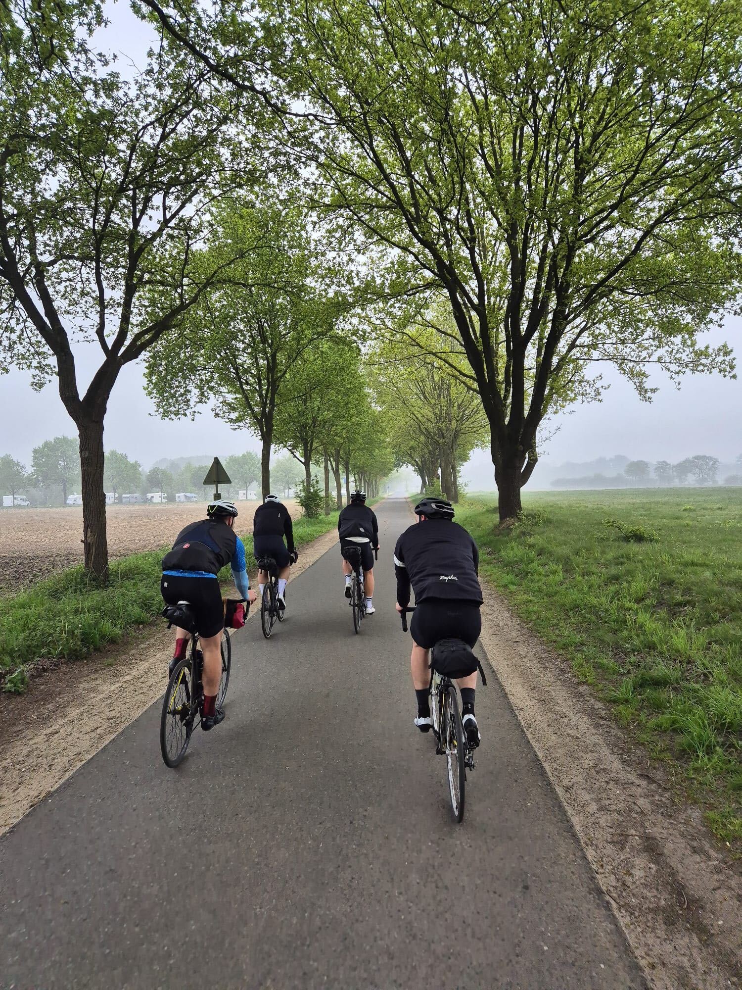 Group riding through a misty tree-lined avenue