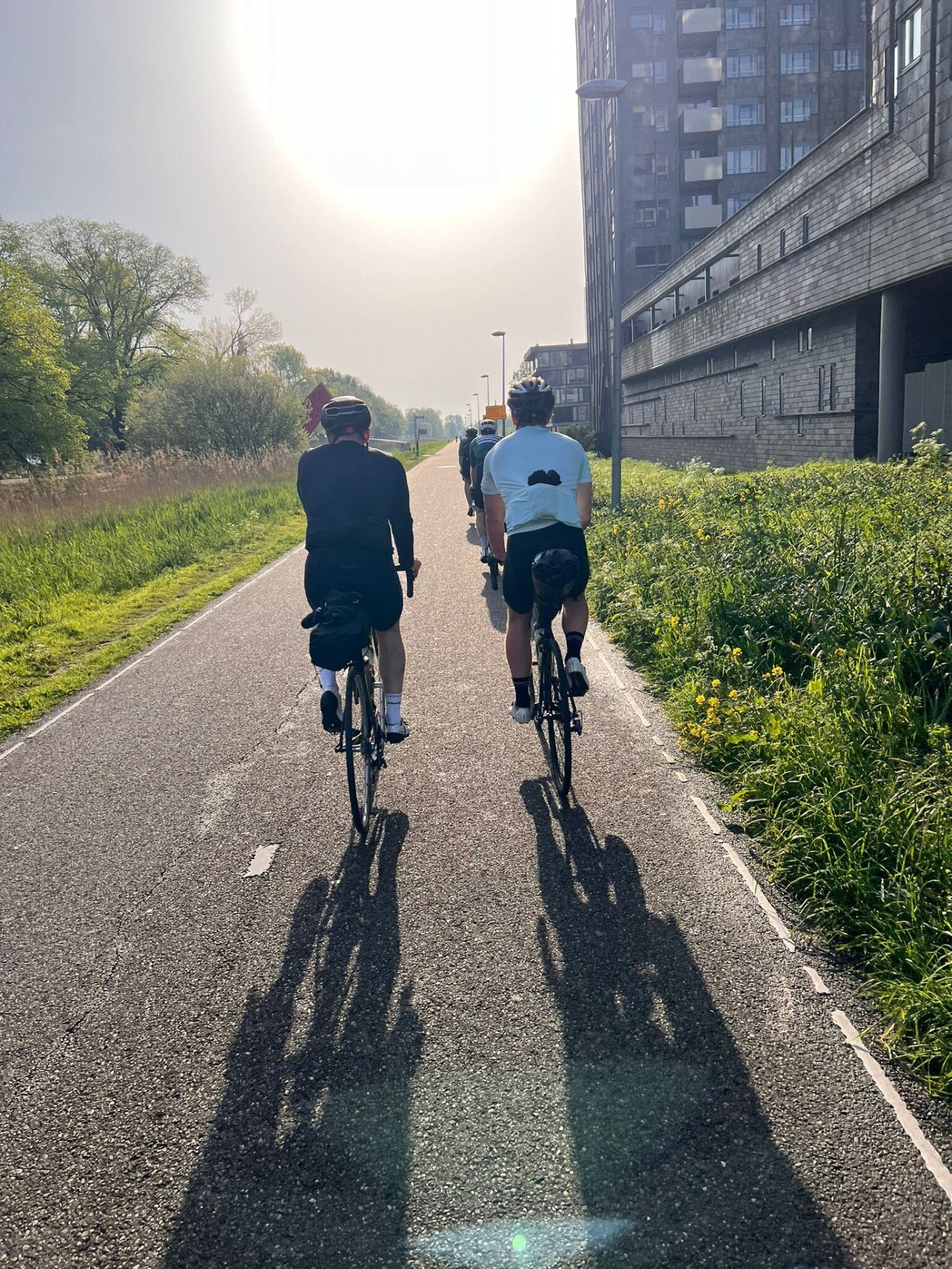 Morning sun over Amsterdam cycle path