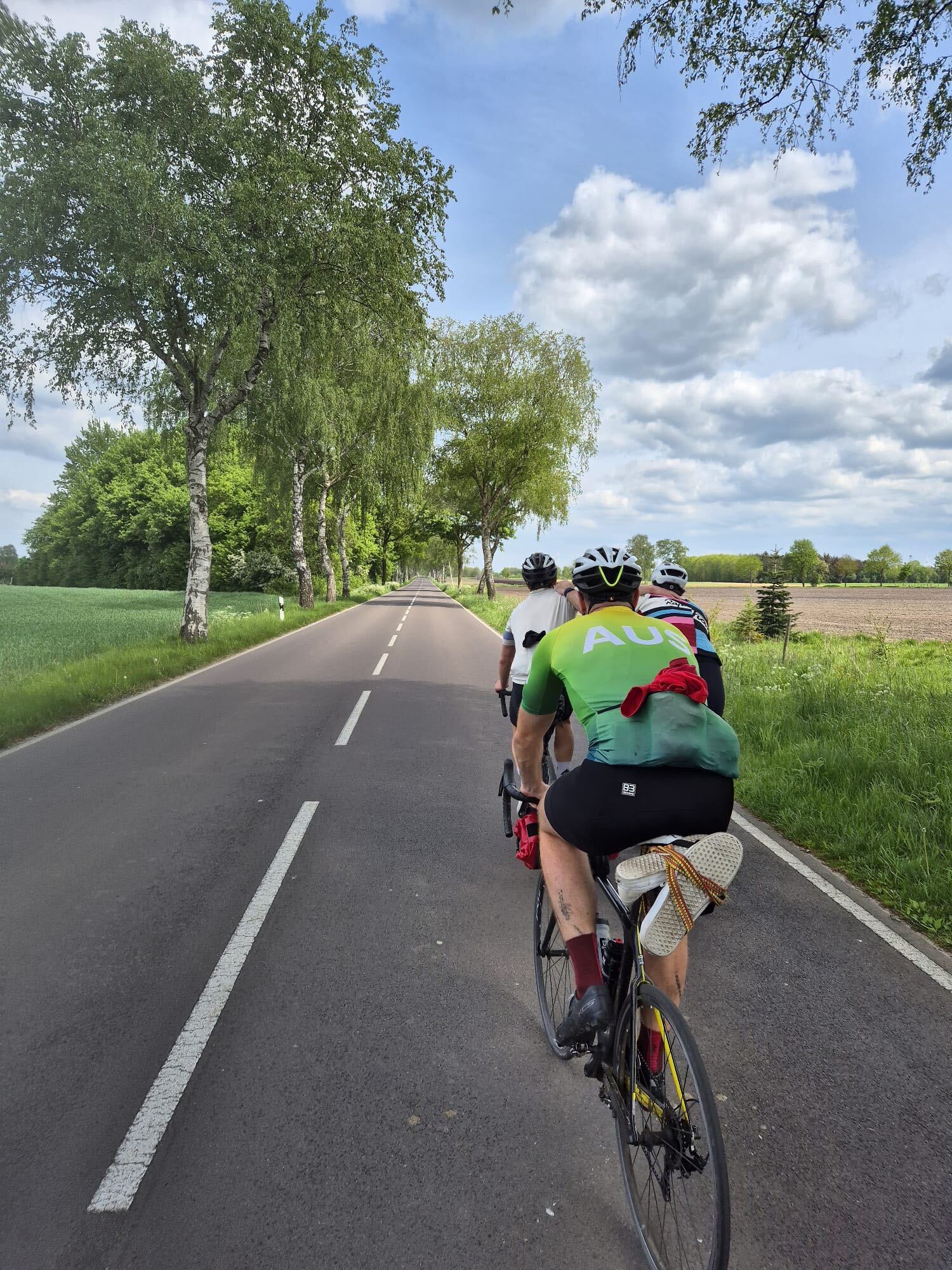Tree-lined road through the Dutch countryside with cyclists