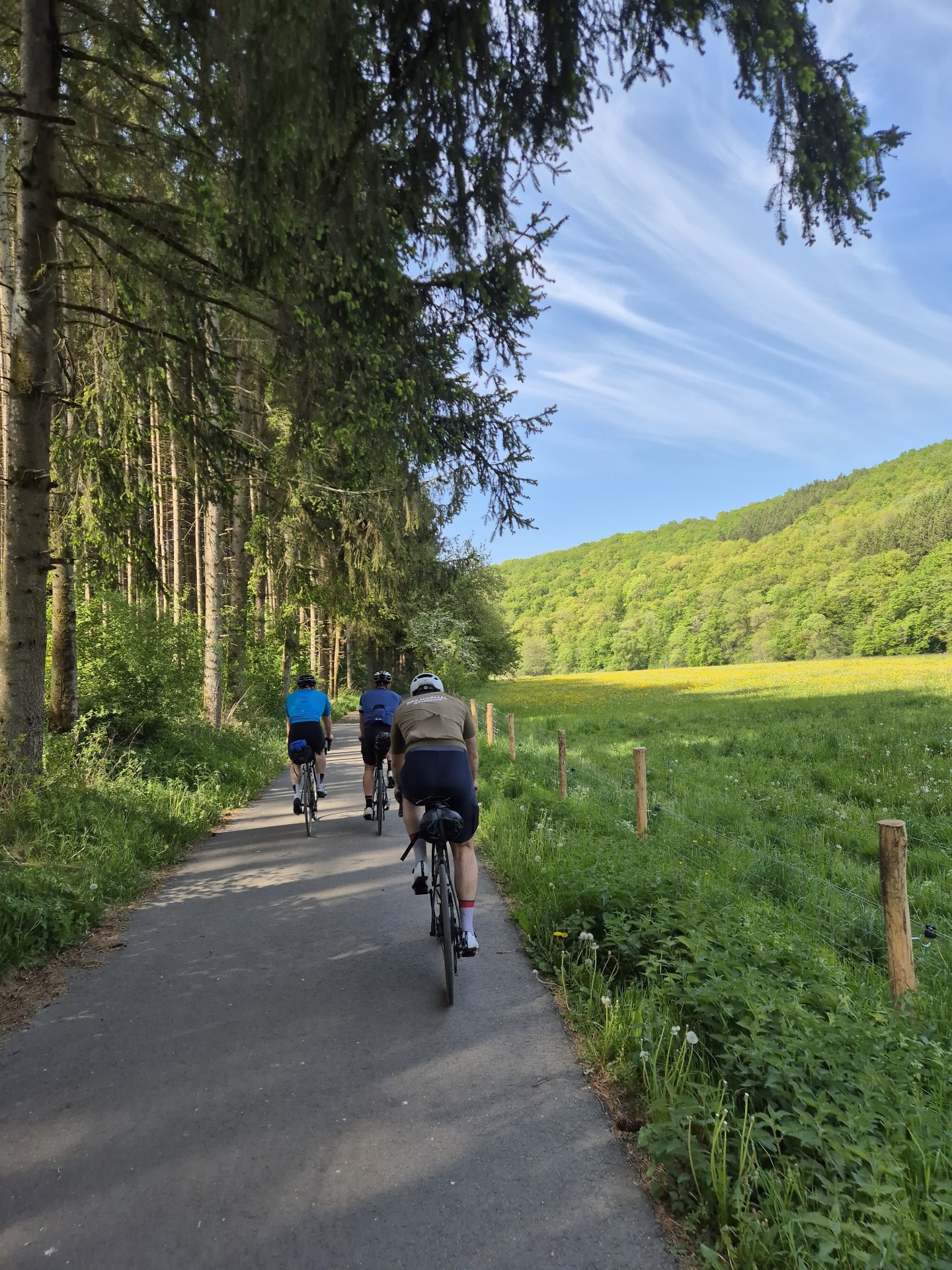 Three cyclists riding a forest-edged lane through the Ardennes with meadows beside them
