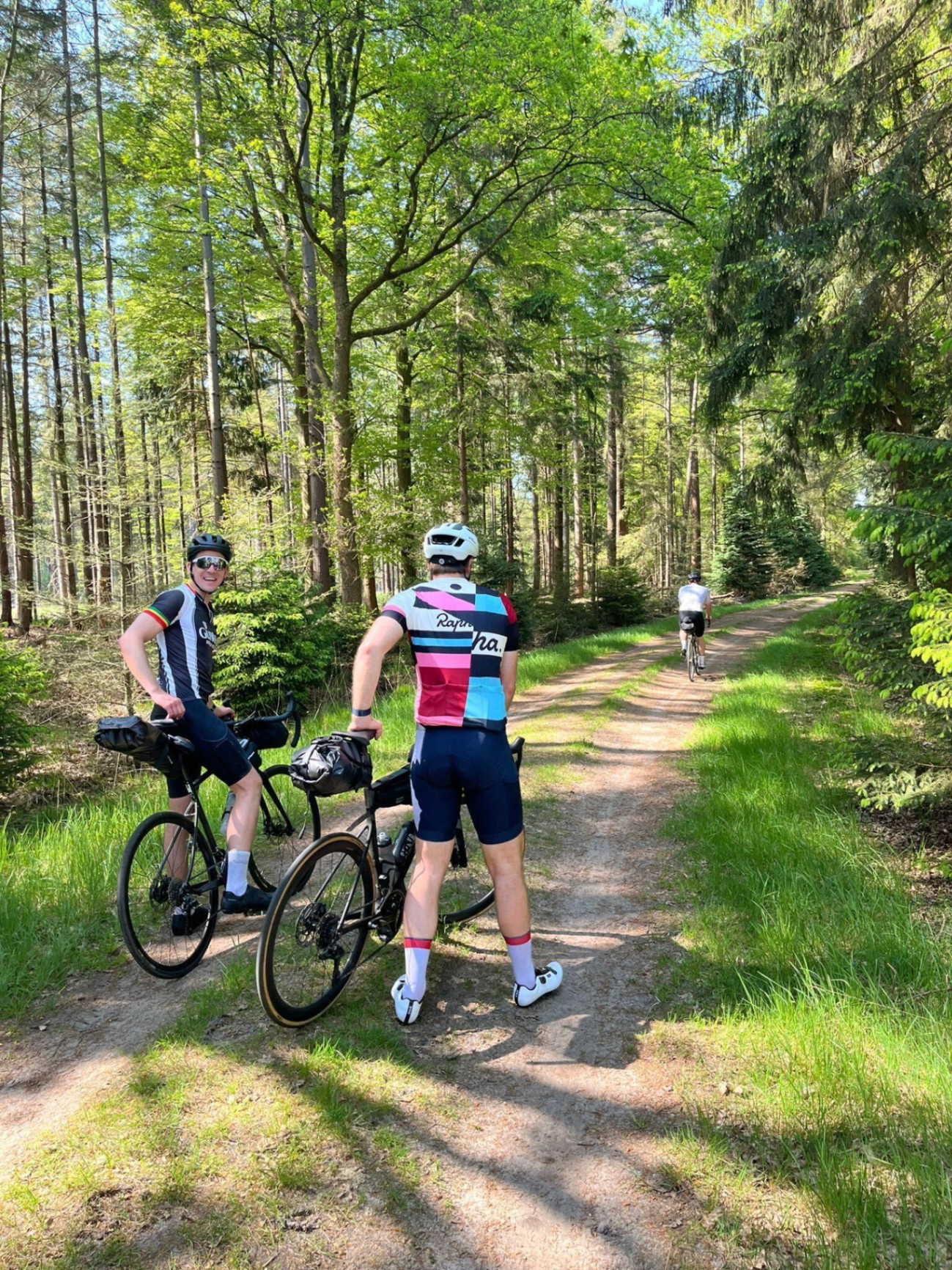 Cyclists pausing on a gravel forest track